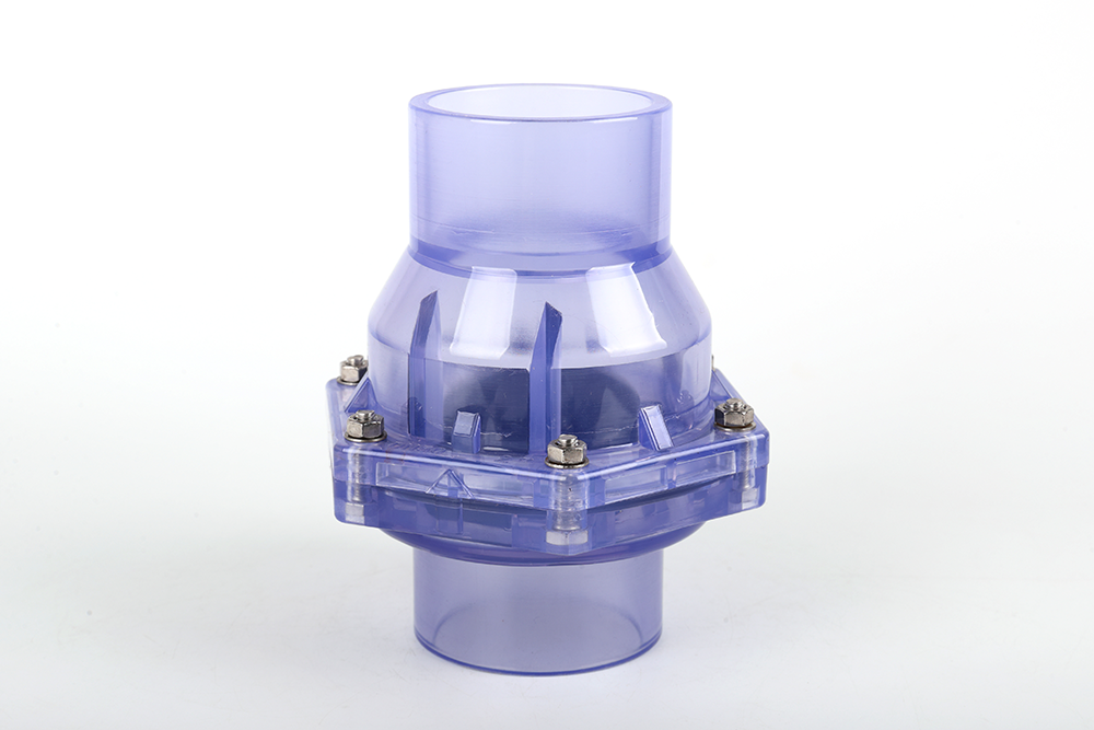 隆尧透明翻板式止回阀